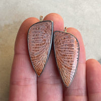 Fossilized Coral Earrings